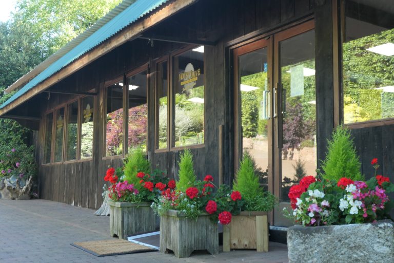 P1022707w-768x512 News