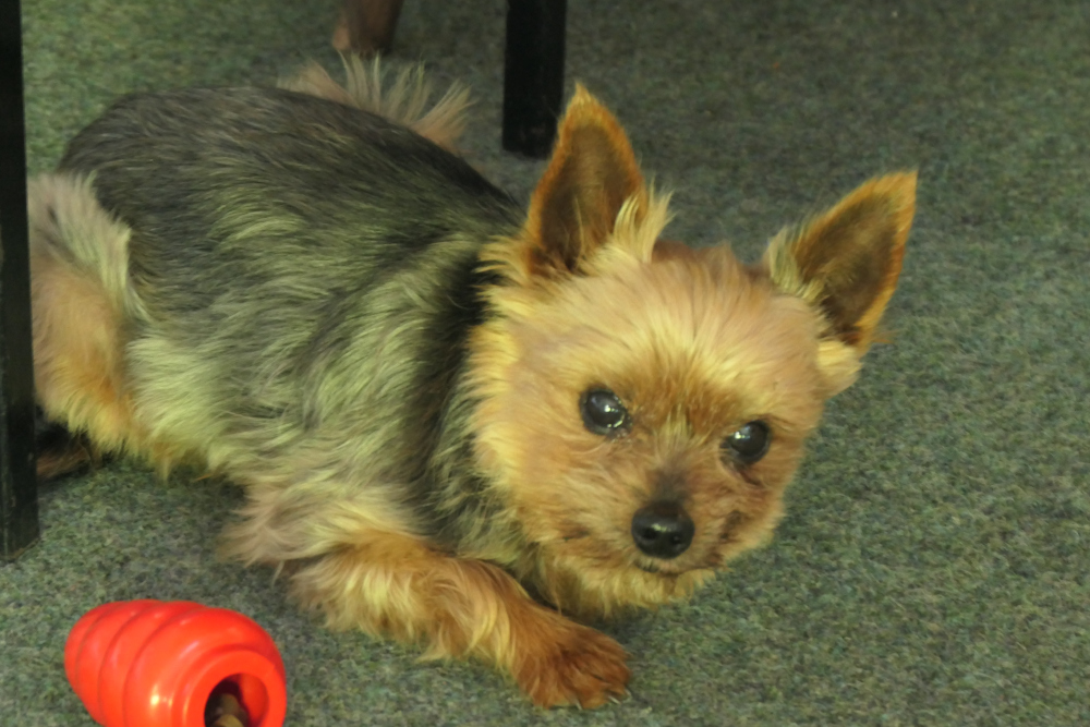 P1022744w SundayMeeting